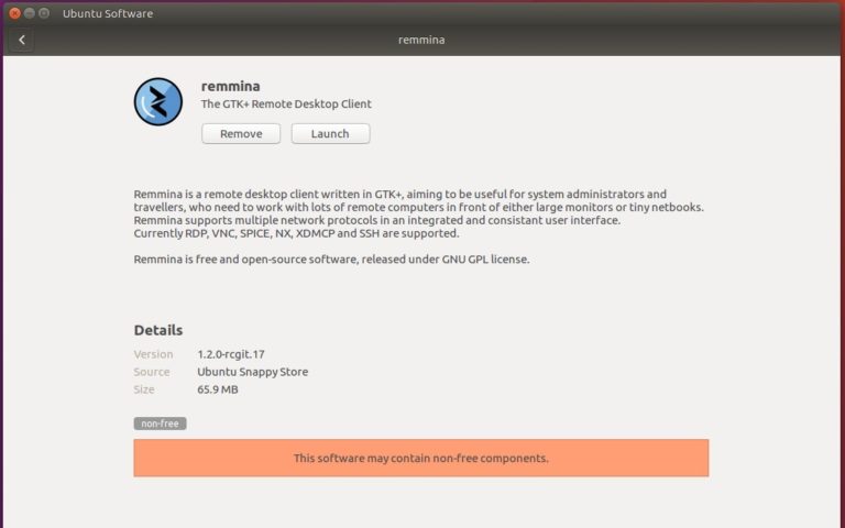 ubuntu remmina unable to connect to vnc server